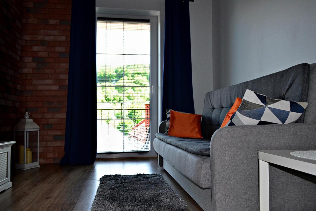 Apartament Usmiech Ustrzyki Dolne Bagian luar foto
