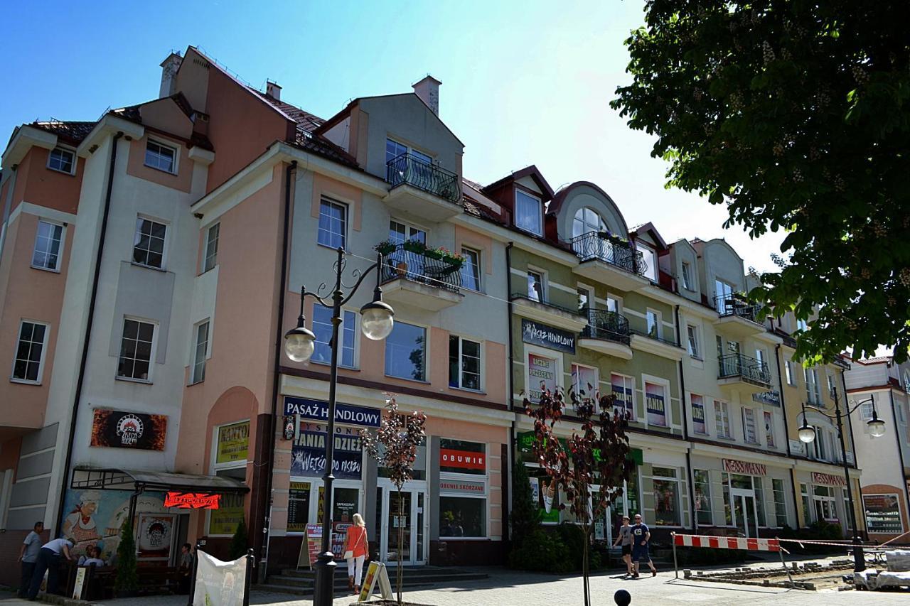Apartament Usmiech Ustrzyki Dolne Bagian luar foto